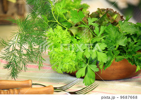 キッチンハーブ 9687668