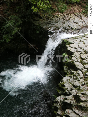 河津七滝　蛇滝 9687847