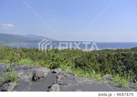 錦江湾を臨む桜島の海岸に灰が舞う 9687870