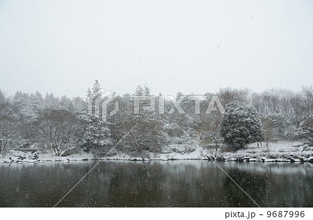 snow snow 9687996