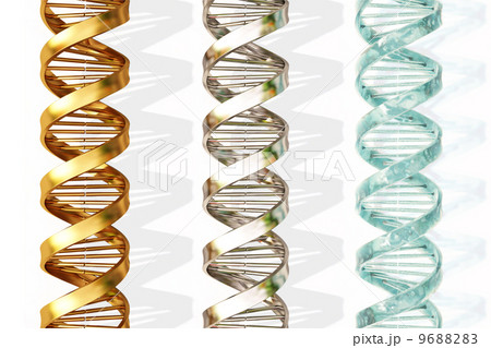 dna dna 9688283