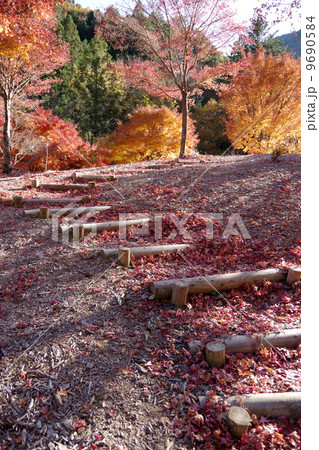 寸又峡・草履石公園 9690584