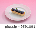 ブルーベリータルト 9691091