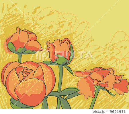 Peony flower 9691951