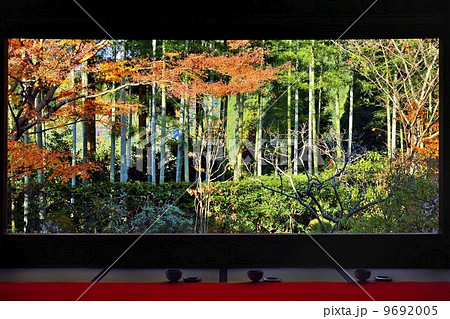 額縁庭園　宝泉院 9692005