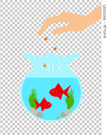 餵養金魚 9693885