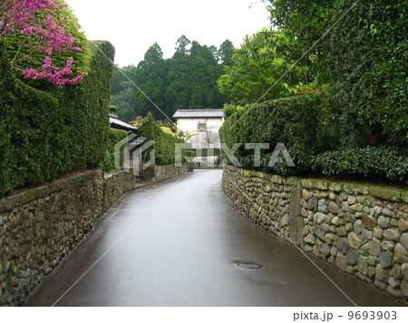 雨上がりの知覧武家屋敷 9693903