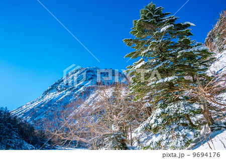 弥陀ヶ池からの奥白根山 9694176