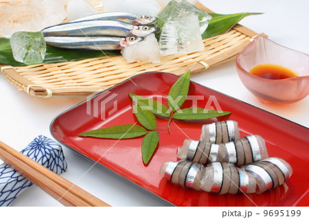 キビナゴ きびなご 生 青魚 刺身 和食 白背景の写真素材