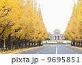 神宮外苑前の銀杏並木 9695851