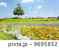 昭和記念公園の花畑 9695852