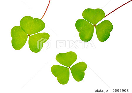 Shamrock set Shamrock set 9695908