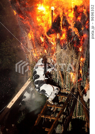 鳥羽の火祭り 9696302