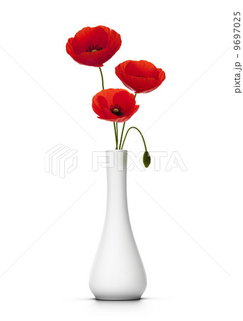 delicate poppies over white 9697025