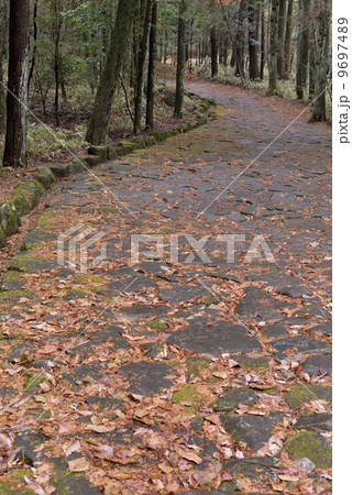 旧中山道・十曲峠(落合の石畳) 旧中山道・十曲峠(落合の石畳) 9697489