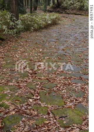 旧中山道・十曲峠(落合の石畳) 旧中山道・十曲峠(落合の石畳) 9697491