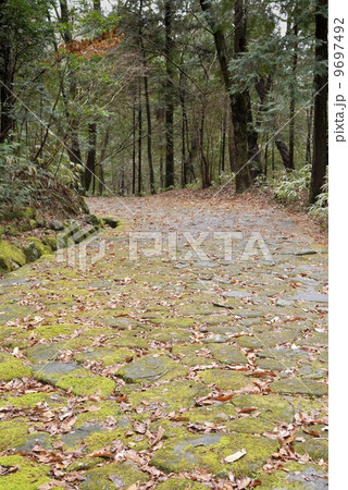 旧中山道・十曲峠（落合の石畳） 9697492
