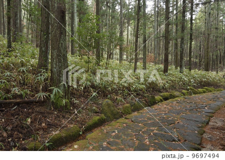 旧中山道・十曲峠(落合の石畳) 旧中山道・十曲峠(落合の石畳) 9697494