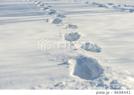tracks on the snow 9698441