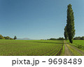 彼方へ延びる道 9698489