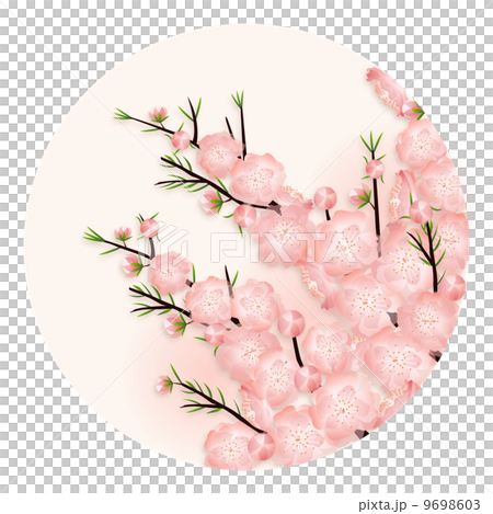 桃の花 丸_01 桃の花 丸_01 9698603