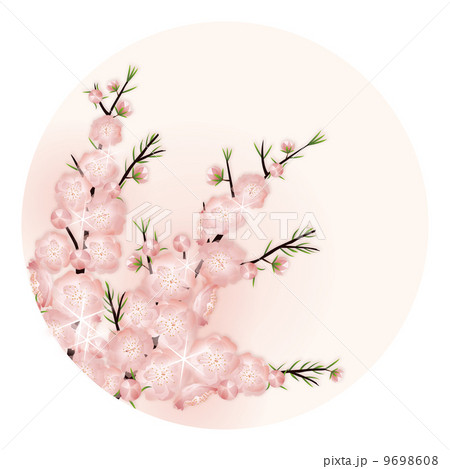 花卉草圖 Sakura 112 Sakura flower - Stock Illustration [75068055] - PIXTA
