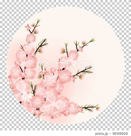 桃の花 丸_02 桃の花 丸_02 9698608