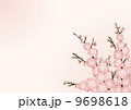 桃の花_背景 01_横 9698618