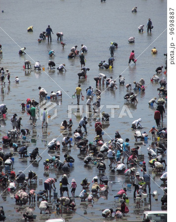 潮干狩り 潮干狩り 9698887