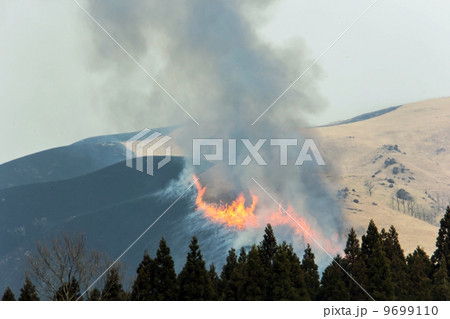 阿蘇の野焼き 阿蘇の野焼き 9699110