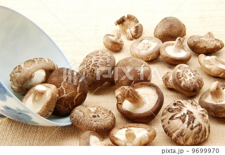 Shiitake mushroom, Authentic Chinese mushroom for health Shiitake mushroom, Authentic Chinese mushroom for health 9699970