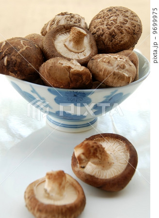 Shiitake mushroom, Authentic Chinese mushroom for health Shiitake mushroom, Authentic Chinese mushroom for health 9699975