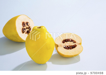 花梨・カリン 9700498