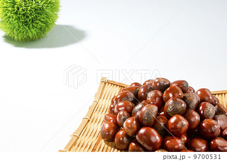 甘栗・天津甘栗 甘栗・天津甘栗 9700531