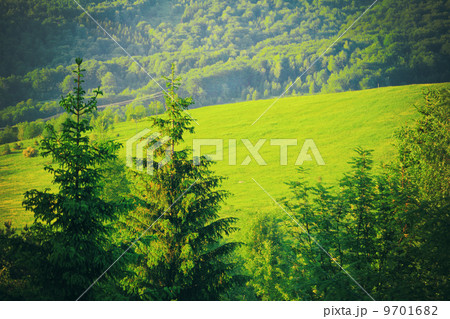 Green landscape mountains hills Bieszczady Poland. Summer vacation. 9701682