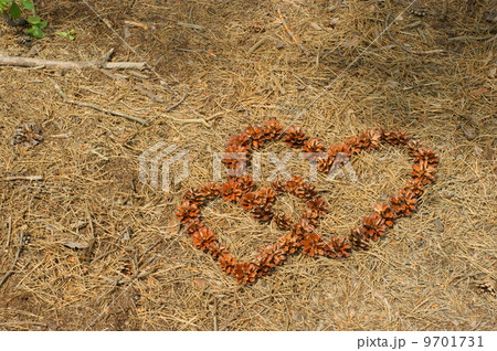 frame of pine cones - Heart. frame of pine cones - Heart. 9701731