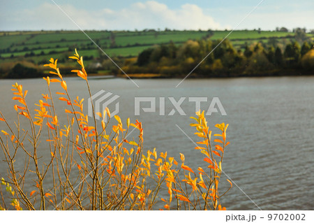 beautiful irish landscape green meadows at the river Co.Cork, Ireland. 9702002