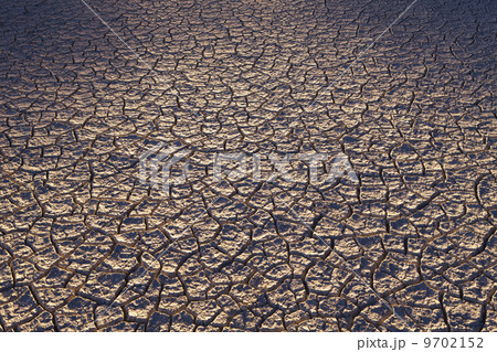Dry cracked desert surface, Black Rock Desert in Nevada, USA 9702152