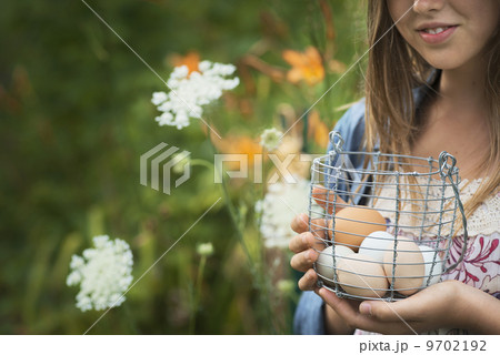 A person holding a basket of freshly laid hen's eggs, of varying colours. 9702192