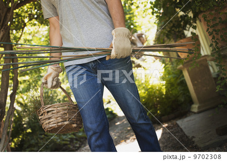 Organic Farming. A woman wearing work gloves, carrying basket and tools. Organic Farming. A woman wearing work gloves, carrying basket and tools. 9702308