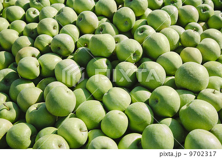 Granny Smith apples 9702317