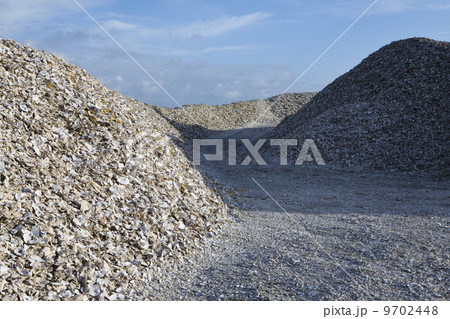 Road leading through piles of discarded oyster shells Oysterville USA Road leading through piles of discarded oyster shells Oysterville USA 9702448
