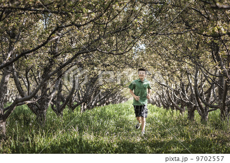 A boy running in a woodland tunnel of overarching tree branches. A boy running in a woodland tunnel of overarching tree branches. 9702557