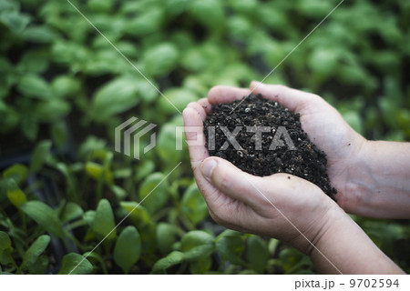 A person holding a handful of dark organic compost. A person holding a handful of dark organic compost. 9702594