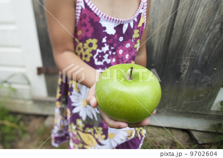 A child with pigtails chewing a large green apple. 9702604