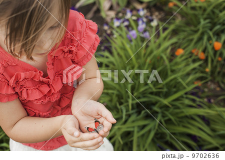 A young girl looking at a colourful butterfly in the grass. A young girl looking at a colourful butterfly in the grass. 9702636