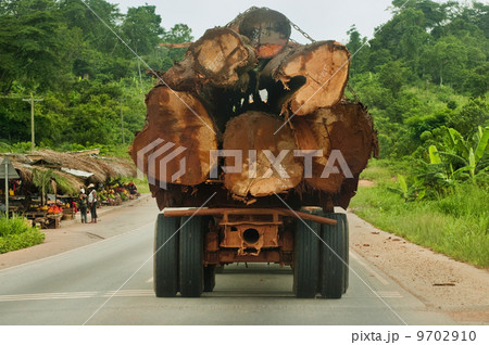 Truck loaded with rainforest timber, Atobiase, Ghana 9702910
