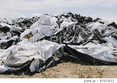 Black and white discarded plastic bags, used for covering bales of hay 9702933