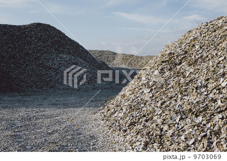 Road leading through piles of discarded oyster shells Oysterville USA Road leading through piles of discarded oyster shells Oysterville USA 9703069