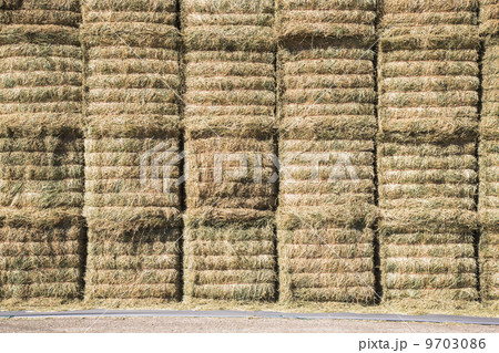 A stack of hay bales, stored in layers, to protect and keep the fodder material dry. 9703086